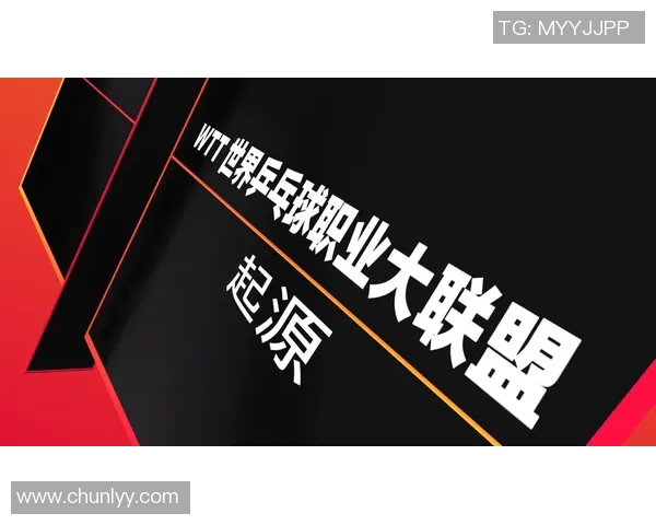 杨伟专访：回顾乒乓球历程