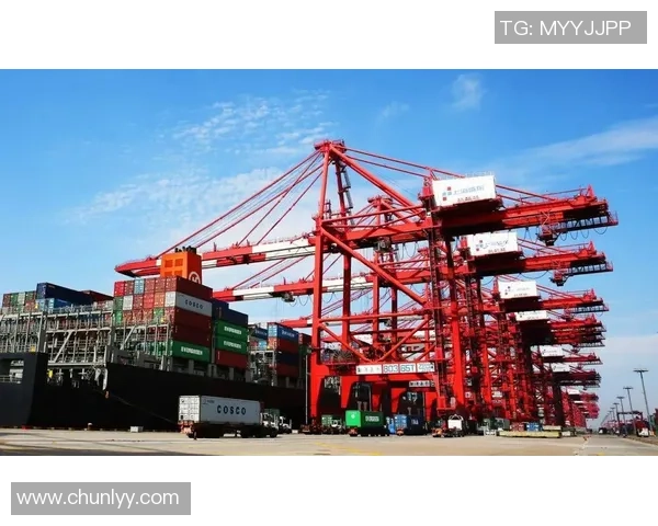 重磅专题：上海篮球队的中路突破革新